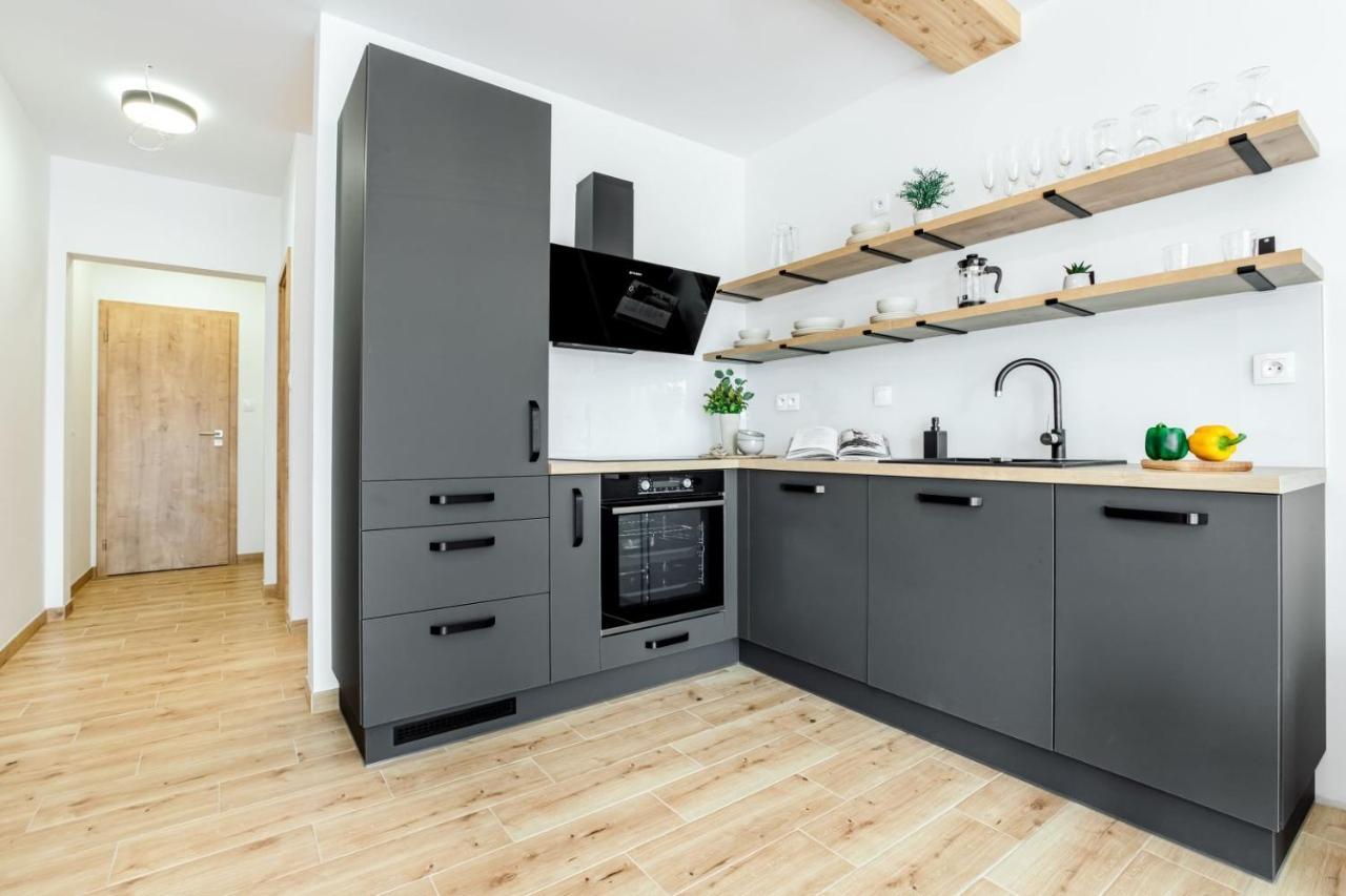 Apartmany Karlovy Dvory Horní Planá 外观 照片