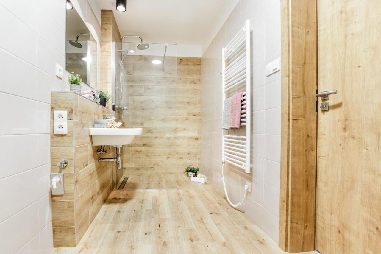 Apartmany Karlovy Dvory Horní Planá 外观 照片
